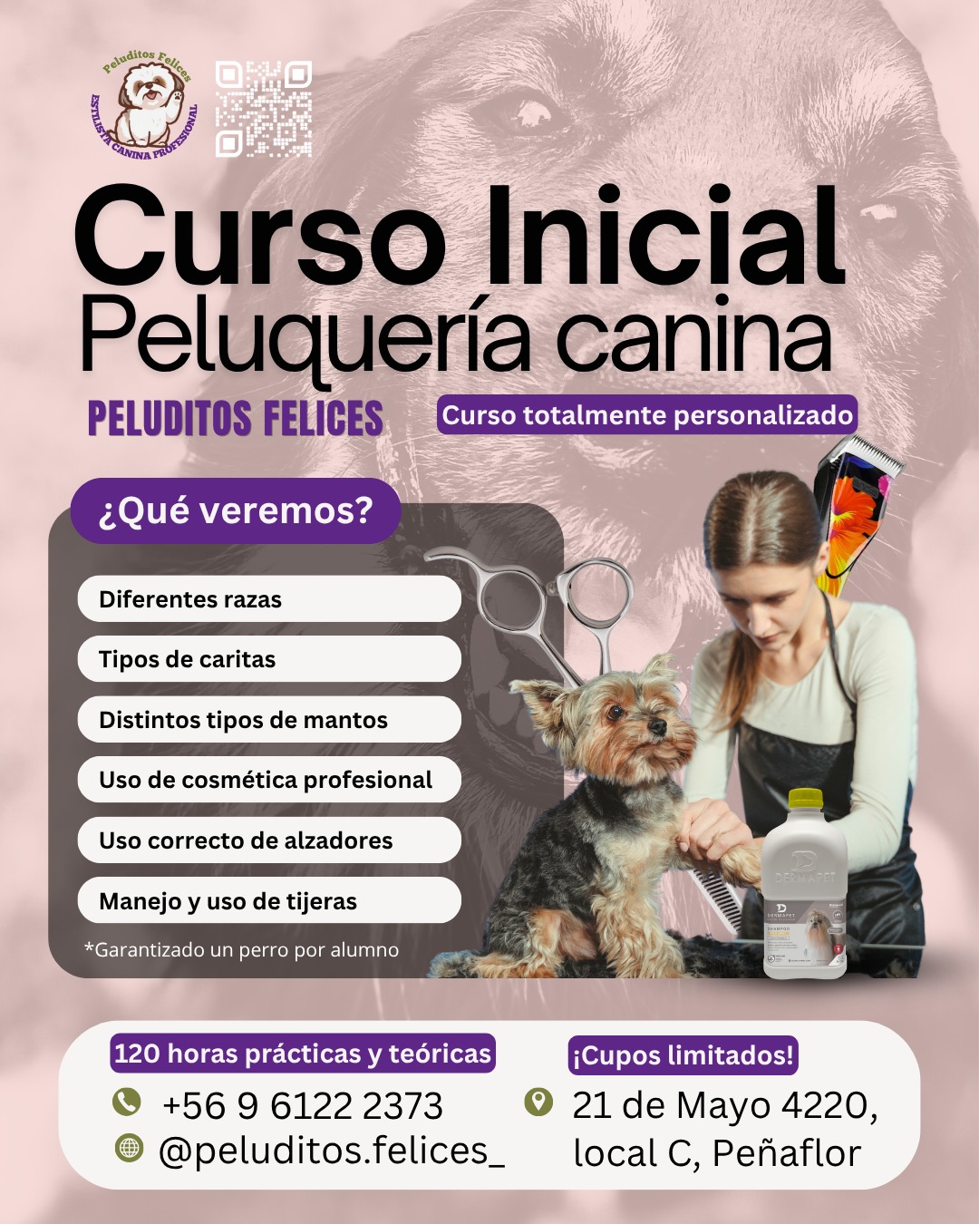 Curso inicial